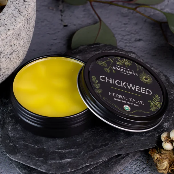 Chickweed herbal kologisk salve: kle, hudproblemer, insektstik