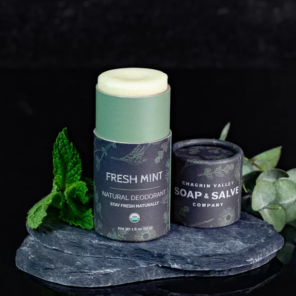 Organic Deodorant Coconut Stick Fresh Mint