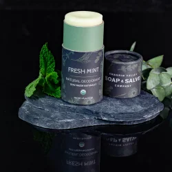 Organic Deodorant Coconut Stick Fresh Mint