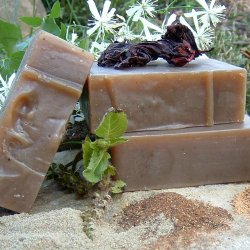 Ayurvedic kologisk shampoobar: fylde, fint tyndt hr, hrtab, skl
