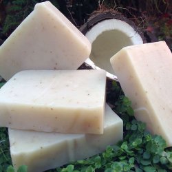 Coconut Shea sbebar: organisk sbe uden duft til flsom hud, tr, beskadiget og moden hud