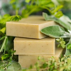Herb Garden �kologisk shampoo bar: alle h�rtyper, t�rt h�r/hovedbund, modvirker h�rtab 160 g