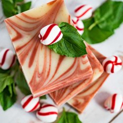 Peppermint Twist Soap: Super forfriskende kologisk kropssbe