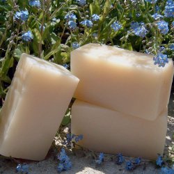 Olive Babassu parfumefri shampoo bar: Normalt, trt hr, tykt uregerligt hr, behandlet hr 160 g